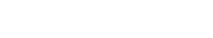 Armendariz & Holguin Law Firm Logo