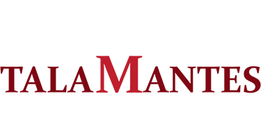Talamantes Immigration Law Firm Logo
